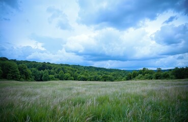 Obraz premium Expansive meadow with tall grass under dramatic blue sky filled with white clouds. Dense green forest lines horizon, creating serene natural landscape perfect for outdoor activities, nature