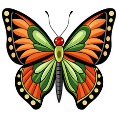 butterfly vector illustration