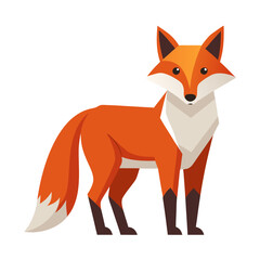 red fox vector illustration