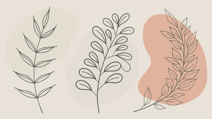 Obraz premium Minimalist botanical illustrations featuring delicate line art of leaves and branches against a soft pastel background.