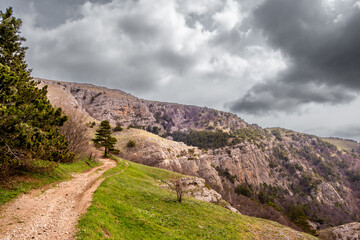 Dirt road on a hillside on a summer day.