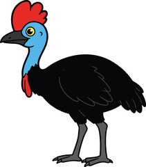 Cartoon cassowary bird with bright blue neck, red crest, black feathers, tropical wildlife, isolated illustration for educational and design use