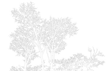 Architectural Drawings, Minimal style cad tree line drawing, Side view, set of section wetland forest outline for landscape design drawing. Vector illustration in seperate element