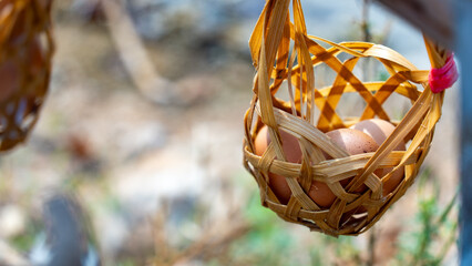 Traditional woven basket holding eggs, prepared for boiling in Thai hot spring