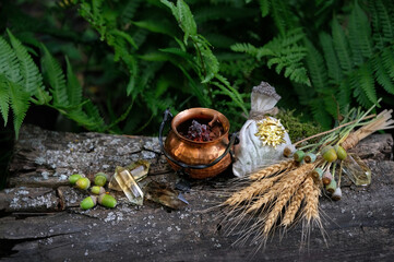 cauldron, witch bag, crystals, wheat ears, acorns and symbolic sun amulet in forest, natural...