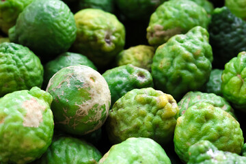 Fresh kafir limes are vibrant green, showcasing their unique bumpy texture. These citrus fruits are often used in cooking and traditional remedies, adding refreshing aroma and flavor