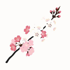Cherry Blossom Branch Vector Design in Flat Style
