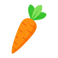 carrot vector illustration