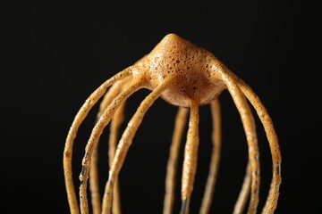 Making delicious dalgona coffee. Whisk with cream on black background, closeup