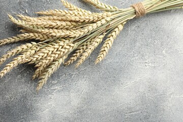 Bunch of wheat spikes on grey textured table, top view. Space for text