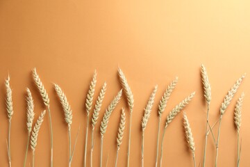 Many wheat spikes on golden background, flat lay. Space for text