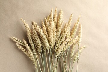 Many wheat spikes on paper background, flat lay