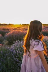 Girl in lavender field during sunset, her hair glowing in warm light. Wearing lilac dress, walking...