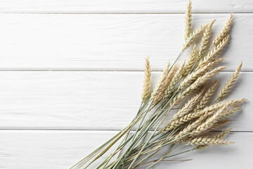 Many wheat spikes on white wooden table, flat lay. Space for text