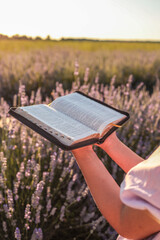 Girl holding open Bible in lavender field at sunset. Golden light shines on the pages and flowers,...