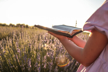 Girl reading Bible in blooming lavender field at sunset. Golden rays illuminate the pages and...