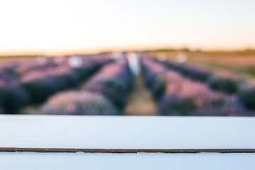 Blurred lavender field at sunset with sharp focus on white foreground surface. Soft pastel tones...