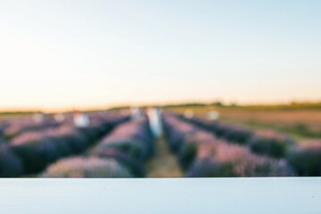 Blurred lavender field at sunset with sharp focus on white foreground surface. Soft pastel tones...
