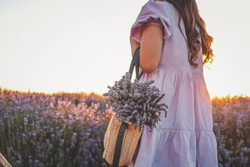Girl in lavender field at sunset holding a straw bag with a fresh lavender bouquet. Soft light and...