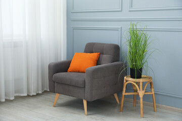 Comfortable armchair and houseplant near light blue wall indoors