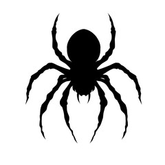 Black Spider Silhouette Isolated on White Background
