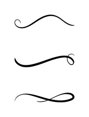 set of hand drawn swirling lines and calligraphic elements
