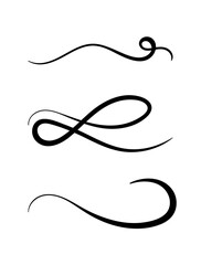 set of hand drawn swirling lines and calligraphic elements