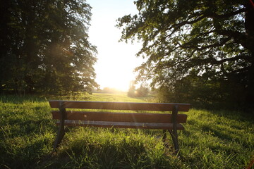a stock photo of a wooden bench at senset in a park