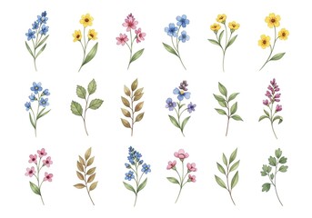 Delicate watercolor illustrations of various wildflowers and greenery on a white background