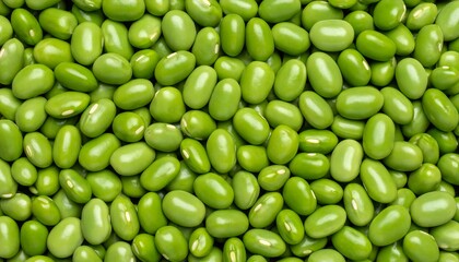 Close-up of many green beans