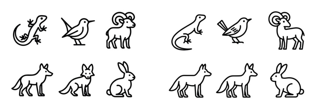 Canyoneering Icon Set