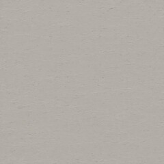 Minimalist light gray background with a subtle, rough texture. An abstract close-up of a blank cement or plaster wall surface, perfect for design.