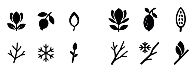 Fototapeta premium Magnolia Seasons Icons