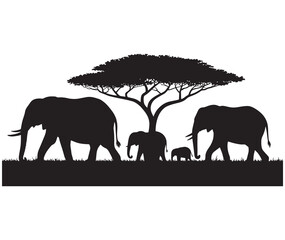 Elephant Family Silhouette Walking Under Acacia Tree in African Savanna with Monochrome Style Illustration © eyasin