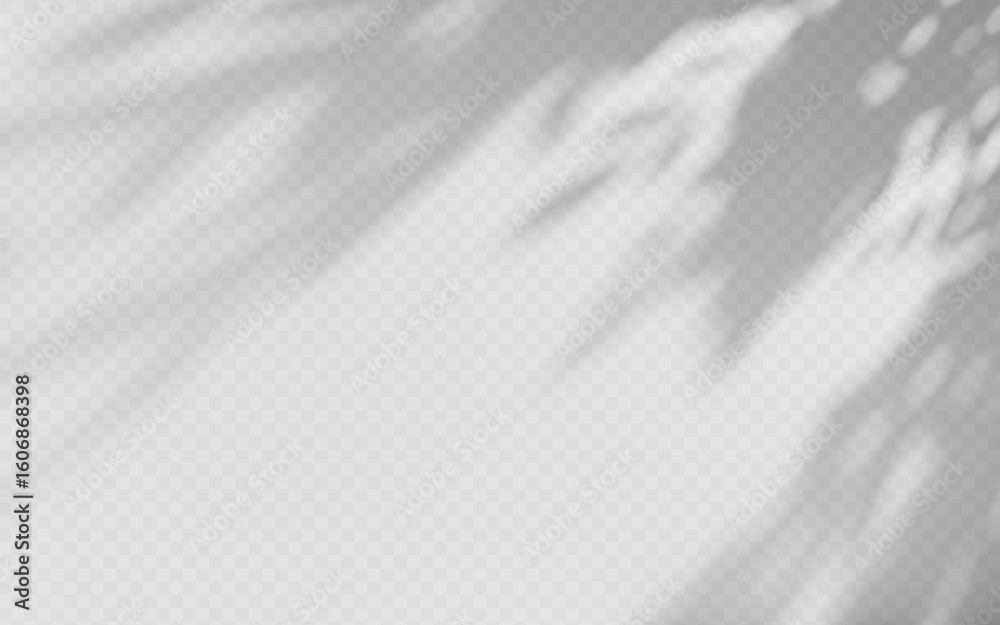 Wall mural abstract shadow overlay from tree branch on a transparent background.