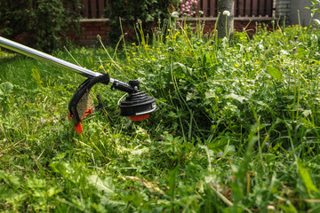 Close-up of grass trimmer cutting overgrown weeds and dandelions in backyard. Concept of garden...