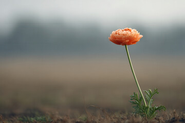 in tough times warmth of friendship shines brighter than ever
