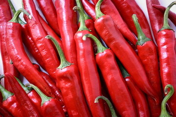Red chili pepper close up full shot