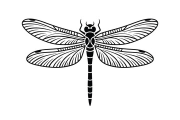Detailed black and white illustration of a dragonfly