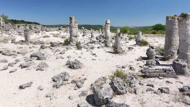 Aerial view of Pobiti Kamani (Stone Forest), 50 mln year old rock formation, Bulgaria