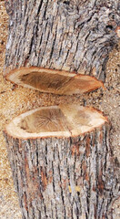 wood background images