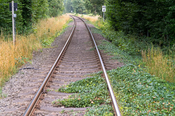 Obraz premium Railroad tracks disappearing into the woods with speed limit sign