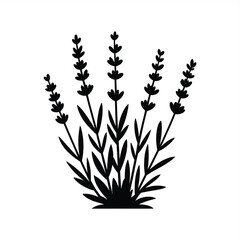 Black silhouette of a lavender plant with delicate stems and leaves