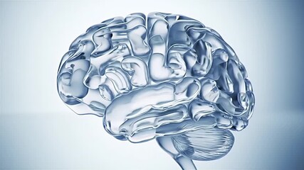 Minimalist 3d animation of abstract glass particles assembling into a human brain on a white background
 - Powered by Adobe