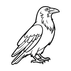 Fototapeta premium Black and White Raven Bird Line Art - Nature & Wildlife