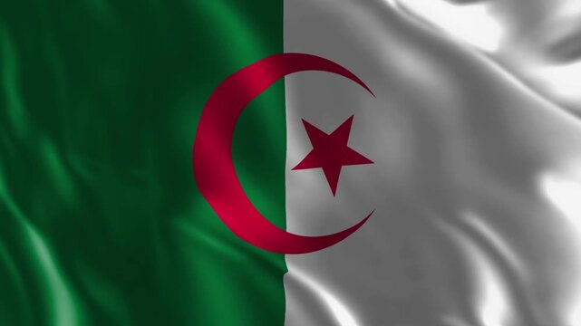 algeria flag is waving 3d animation algeria national flag waving video loop animation flag wave footage