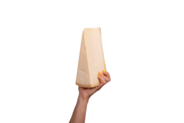 Large wedge of cheese held in a female hand with yellow nails, isolated on transparent background.