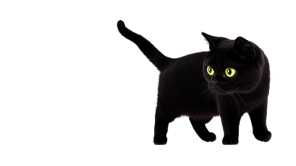 Black cat with bright green eyes on transparent background
