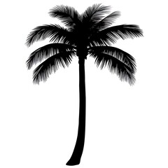 A black silhouette rendering depicting a tropical palm tree structure