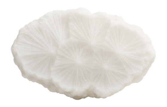 Milky white vaterite specimen with radiating crystal structure and matte finish